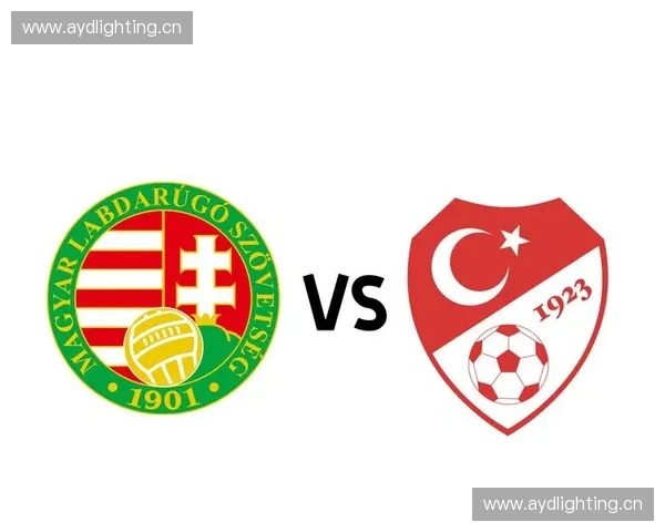 围绕足球比赛种类与全球赛事体系构成的深度全面发展解析与探讨研